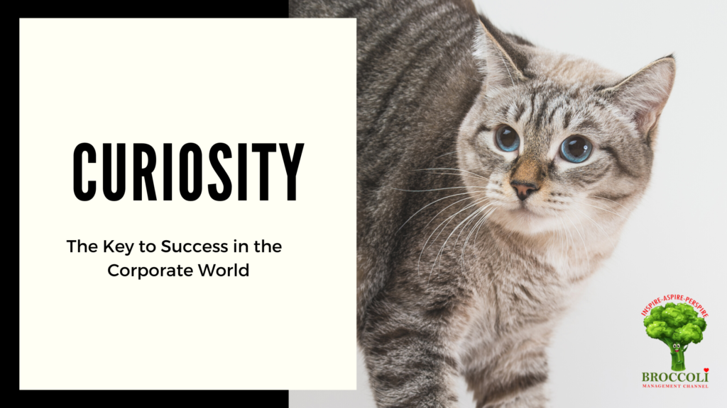 Curiosity by broccoli management channel